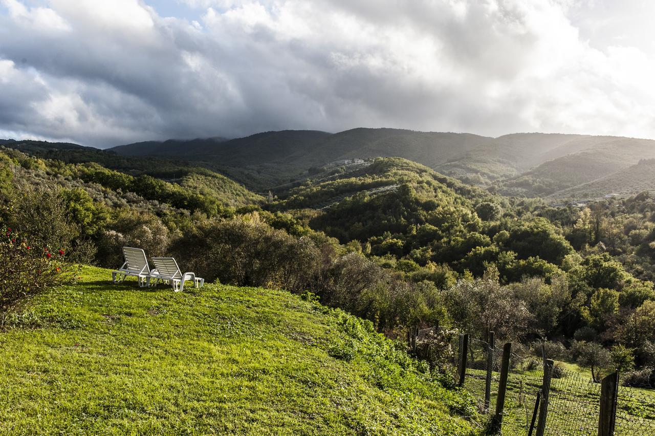 Tenuta San Felice Giano dell'Umbria Екстер'єр фото